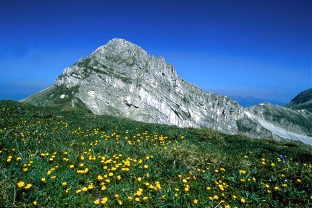 Pizzo Cefalone (2533 m)